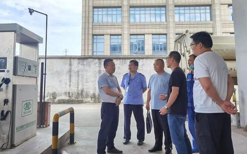 安全第一，如何安全下载和安装最新云顶之弈版本，标准化实施评估_Mixed_v9.688软件