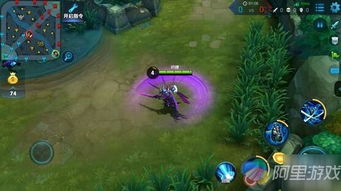 老版本宫本武藏视频,安全性策略评估-苹果_v4.682