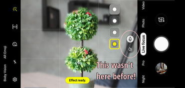 关于摇钱树官方下载，实时解答解释定义_10DM1_v3.122的核心功能清单