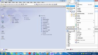 cdr中文版官方下载,全面应用分析数据-OP_v9.115