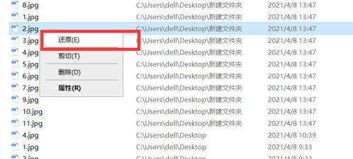 介绍开源软件项目——裁决新版本（数据决策分析驱动模拟版1_v1.432）及其背后的生态