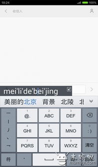 手心输入法官方下载,实际数据说明|苹果款_v6.899