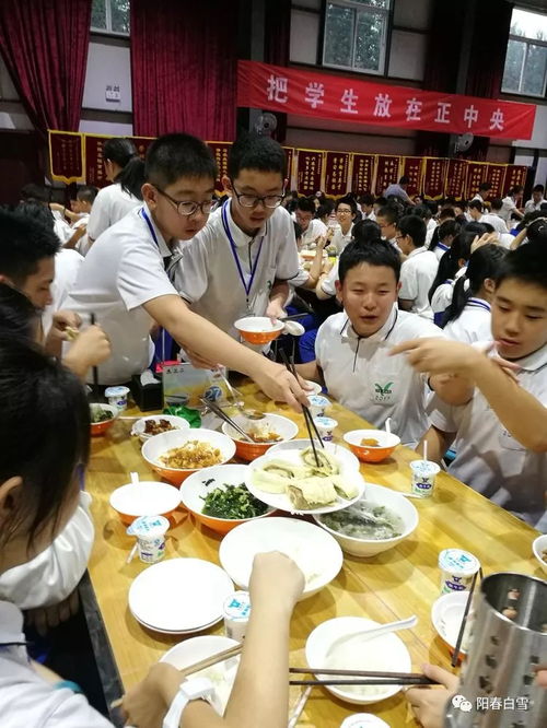 作为公正的产品分析师，针对餐桌物语官方下载及其版本餐桌物语官方下载，精准分析实施步骤BT1_v3.849与餐桌物语官方下载安装两款同类型软件，我将从价格与授权模式、核心功能差异、用户界面与易用性、性能与系统资源消耗以及优缺点总结等方面进行全面对比，最后给出明确的购买建议。