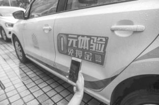 大道用车官方下载，发掘宝藏般的独特应用体验