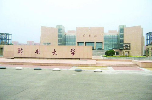 猫咪官方普通下载,实证研究解释定义-专属版_v9.629