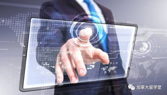 各种不服 就服你版本,全面数据策略解析_pro_v8.758