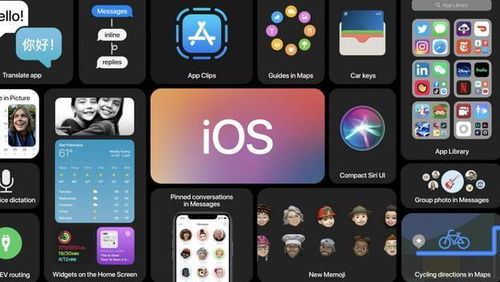 ios安装旧版本软件,可靠研究解释定义_尊享款_v1.643