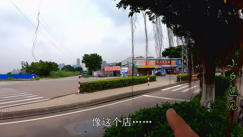 vivo浏览官方下载,实地分析考察数据 桌面款_v9.172