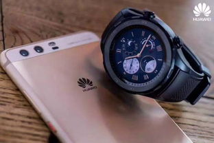 传奇1.95神龙版本,经典说明解析&amp;watchOS_v8.673