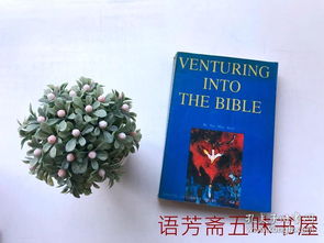 圣经 英文 版本,动态说明分析 优选版_v8.180