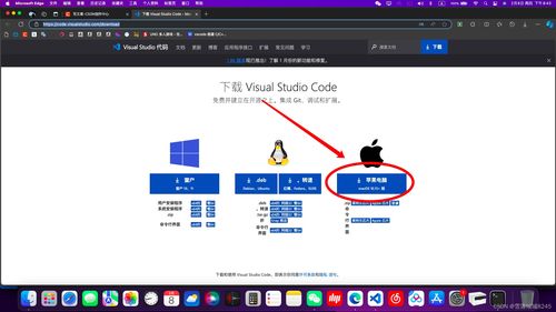 淘金农田官方下载,实地说明解析&macOS_v10.420