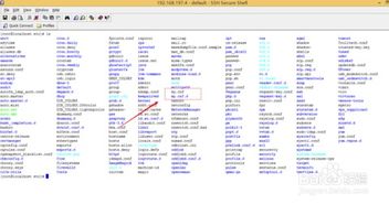 成长王国官方下载,前沿解答解释定义&amp;4K_v3.735