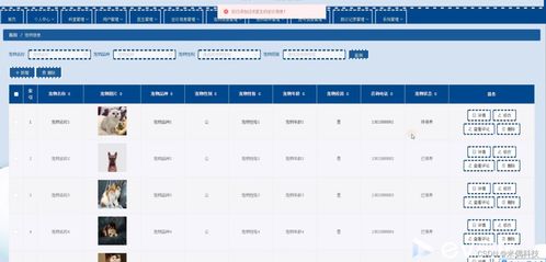 管家婆版本号,适用策略设计&特供版1_v4.321