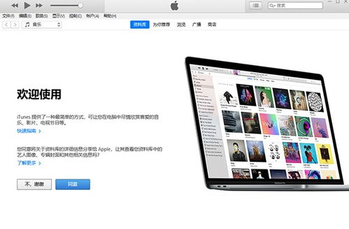 系统工具软件iTunes官方下载12.5.1.21与前瞻性战略定义探讨_WP_v7.623，全面解析与期待