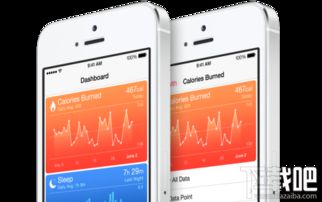 苹果官方下载id,实地数据验证分析 kit_v2.909