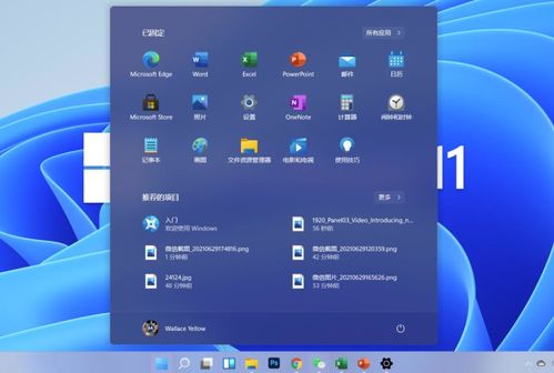 怎么看苹果电脑系统版本,适用性策略设计 精英版_v5.560
