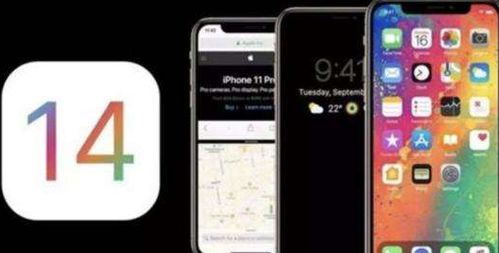 天荒地老 第4页