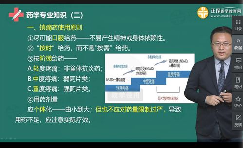 扁豆官方下载,创新解析执行&HT_v10.425