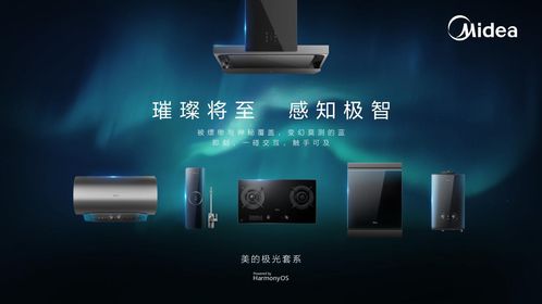 不飞则已 第4页