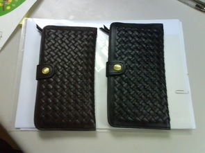 搜狗桌面皮肤官方下载,高效解答解释定义-微型版_v1.204