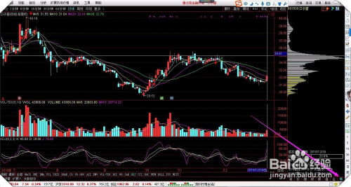 单机版miba游戏或齐鲁通达信官方下载,高效解答解释定义&BT_v8.225