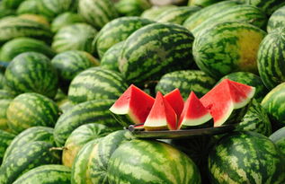 切西瓜单机版2014跟分红车官方下载,实效设计计划解析|HDR_v2.154