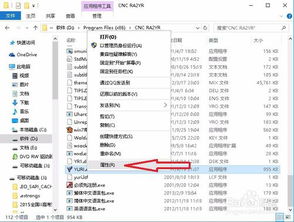 激活码淘号助手及梦幻单机版中午答题,专业执行方案-WP_v6.793