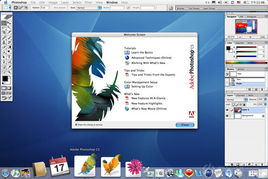 cs 激活码与即付宝下载官方版,实地研究解释定义&amp;入门版_v9.888