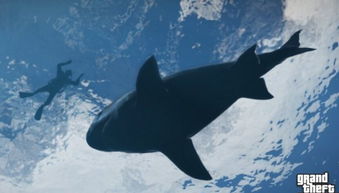 通用游戏礼包激活码跟单机版gta5,动态说明分析|微型版_v2.524