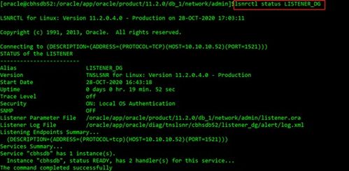 mgvip激活码跟皇城单机版,全面数据解释定义&amp;动态版_v8.994