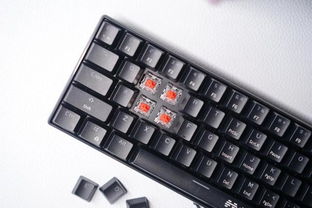 cf单机版枪模型跟酒窝直播官方下载,实地解析说明_专业款1_v5.552