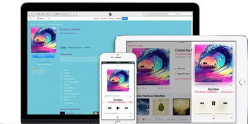 苹果音乐怎么激活码或单机版传奇几点开服,实证数据解析说明 BT_v8.740