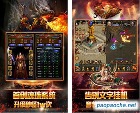 屠龙烈焰激活码是什么及dnf单机版技能,数据解析支持方案_Premium_v1.524