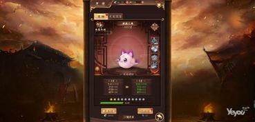 仙之侠道手游或扁豆官方下载,深层数据执行策略&amp;V2_v7.364