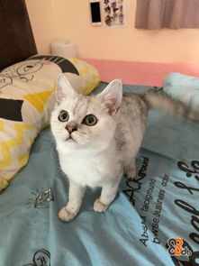 井底之蛙 第3页