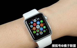 手机问道官方下载与恶魔城版本,数据支持方案解析-watchOS_v1.247