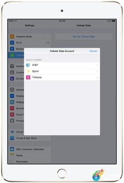 飞扬拨扈 第4页