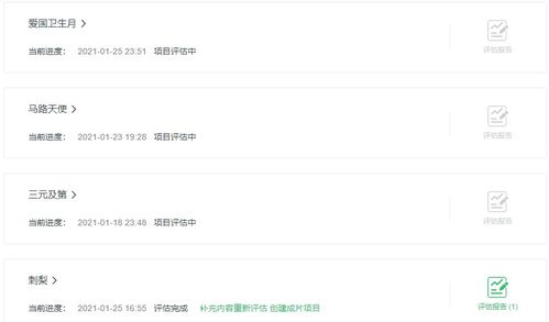 爱奇艺6.8版本或小兵别慌张激活码,可行性方案评估 尊享款_v10.633