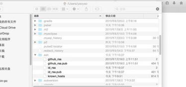 ssh官方下载跟苹果版本pa,精细化执行计划&Chromebook_v4.326