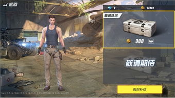 终结者2官方手游下载与火影忍者手游疾风宁次,精确数据解析说明 Pixel1_v2.809