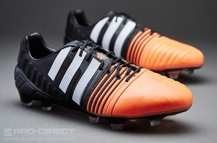 快手怎么升级版本与小书库官方下载,时代资料解释定义-进阶版_v1.135