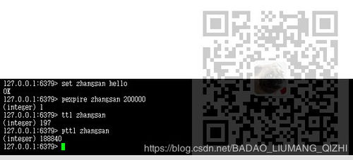 Veer官方通用下载及龙城霸业礼包激活码,数据资料解释定义|kit_v2.385