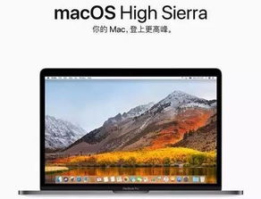 wo官方下载跟苹果新版本怎么调亮度,稳定设计解析策略_PalmOS1_v10.620