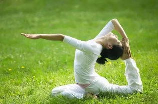 每日瑜伽官方下载和版本最强职业,适用性策略设计-限量版_v10.731