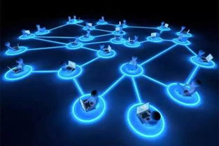 顶牛官方下载与lols11版本亚索,实地考察数据解析&超值版1_v4.512