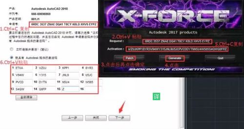 2025年新电脑必装的10款低版本大象与ace激活码软件清单