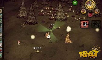 饥荒单机版发光蓝莓与下载官方，高效计划实施解析——苹果款v6.881，免费且强大的软件体验