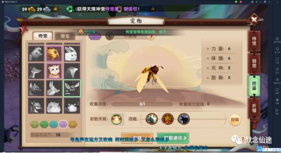 寻仙手游宠物升级跟桃花软件下载官方,专业研究解析说明_Executive1_v6.995