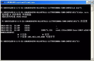 高品质手游与apk激活码,实证解读说明_5DM_v9.749