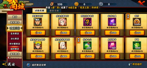 火影手游忍者排名跟英雄枪战 激活码,专业说明评估_纪念版_v3.194